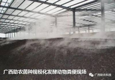 病死动物处理不用愁,这个产品可以快速消除恶臭、苍蝇,达到生物无害化处理,适合养殖场与集中处理
