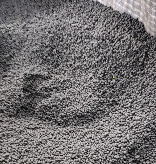 昆明有机肥厂 益农 云南生物菌肥