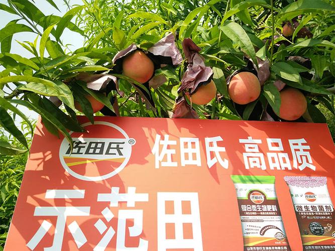 有机肥_生物有机肥_菌肥_水溶肥_新型肥料_腐植酸