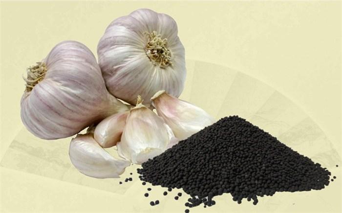 生物肥料源海生物有机肥料厂图生物有机肥排名